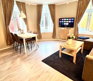Trondheim City Centre Apartment | Stor attraktiv studioleilighet i sentrum