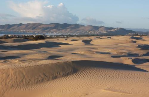 Oceano House | Stranded at the Beach