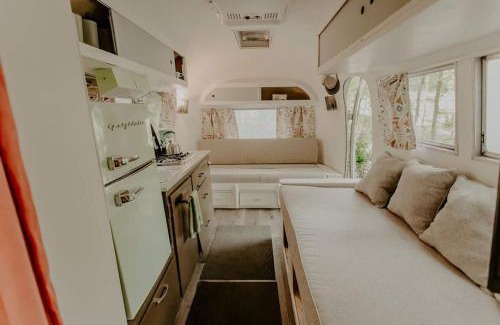 Cosby House | Streamside Shinytiny Airstream In The Smokies