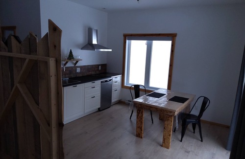 St-Adolphe-d'Howard Apartment | Studio à Louer