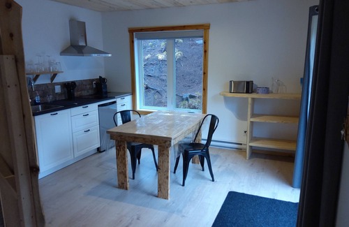 St-Adolphe-d'Howard Apartment | Studio à Louer