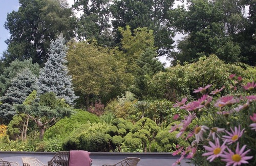 Skawina Apartment | Studio 1 "AUX GRANDS CHÊNES" near Krakow for rest and sightseeing