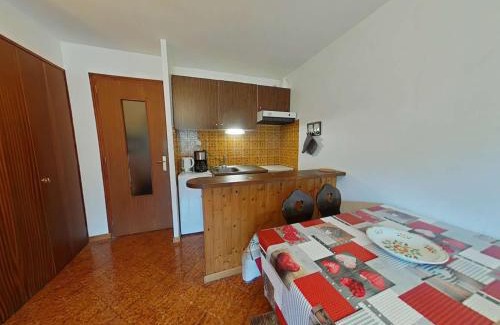 Le Grand-Bornand Apartment | Studio 4 couchages, proche télécabine, parking, animaux acceptés - FR-1-241-75