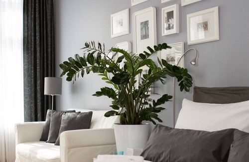 Zentrum-Sued Apartment | Studio 44, apartment RIEMANN 2; Center, free WiFi, bicycles