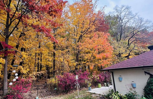 Milton House | Studio Annex Close to Falls, Ski resort, Lake and Conservation.