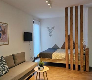 Divcibare Apartment | Studio Apartman Nomad Divčibare