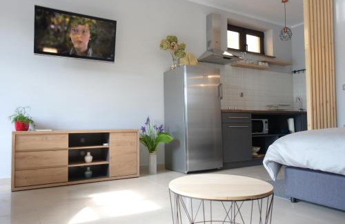 Vinica Apartment | Studio apartmani Vinica