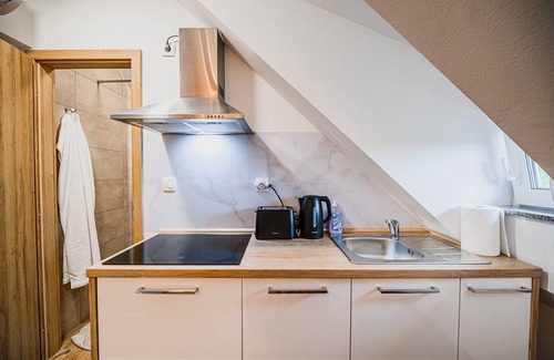 Brezice Apartment | Studio Apartment 8