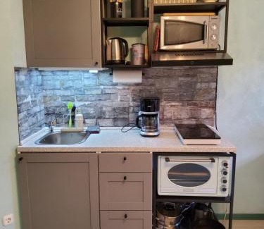 Burg auf Fehmarn Apartment | Studio-Apartment mit kleinem Gartenanteil