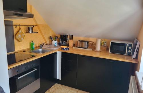 Kurort Gohrisch Apartment | Studio apartment in the Villa Blau