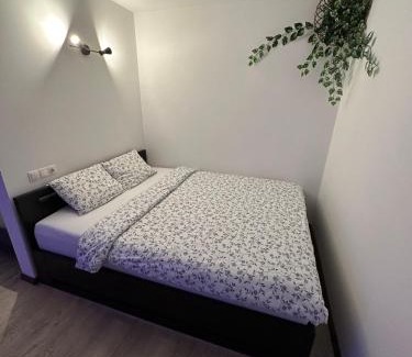 Valmiera Apartment | Studio apartment