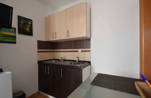 Vantacici Apartment | Studio apartment Mikec