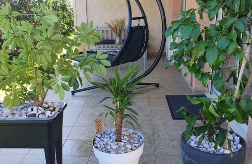 Santa-Maria-Poggio Apartment | Studio Avec Balnéo à 500m de la Plage