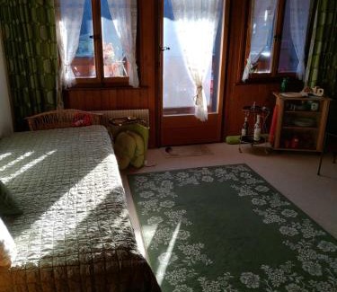 Ormont-Dessus Apartment | Studio avec vue splendide sur les Diablerets