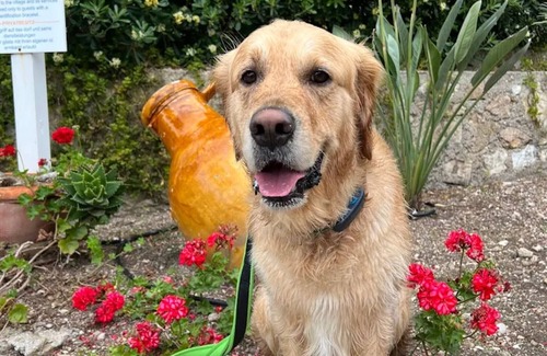 Chiesiola Apartment | Studio 'Baia Falcone-Studio Type A 105' with Sea View, Wi-Fi and Air Conditioning