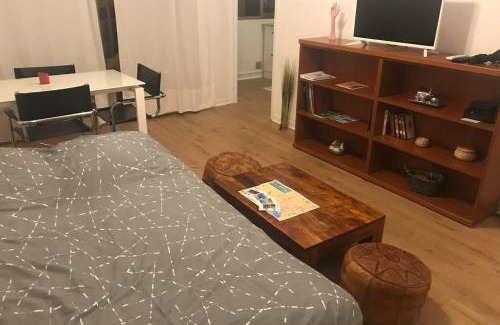 Le Piol Apartment | studio centre nice proche de mer