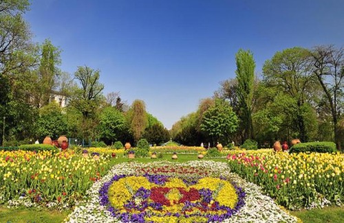 Bucharest City-Centre Apartment | Studio Cismigiu Park