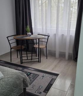 Giurgiu Apartment | Studio cu o camera