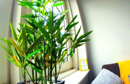Grangetown Apartment | Studio for Professionals Trades Relocators