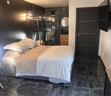 Portet-sur-Garonne Apartment | Studio jacuzzi prive piscine commune