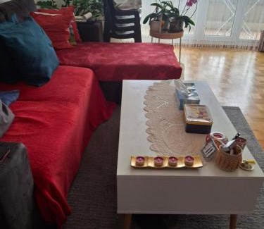 Busserach Apartment | Studio meublé avec TV, cuisine, sdb