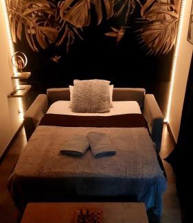 Monistrol-sur-Loire Apartment | Studio Monistrol sur Loire