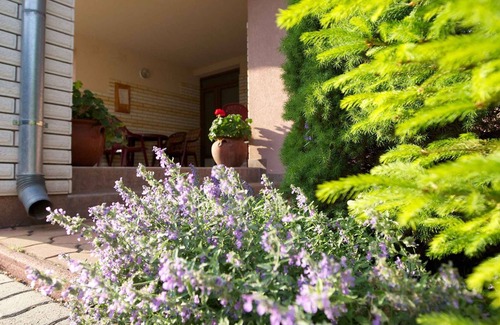 Hajduszoboszlo Apartment | Studio near thermal baths