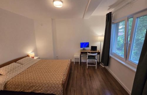 Soko Banja Apartment | Studio Sanader