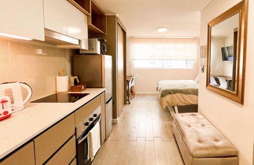 Downtown Santiago Apartment | Studio Santa Elvira - Laundry Wifi