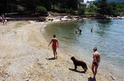 Stari Grad Apartment | Studio Stari Grad 15241c