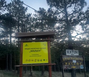 Divcibare Apartment | Studio Viline kose