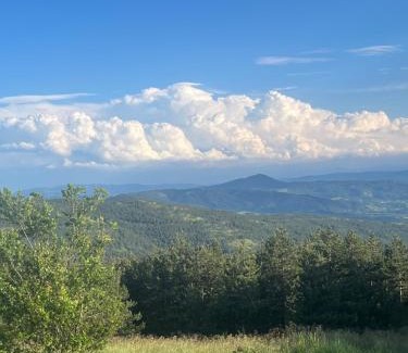 Divcibare Apartment | Studio Viline kose