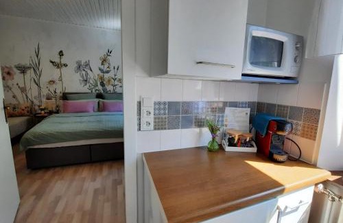 Rettenegg House | Studio Wildwiese Rettenegg