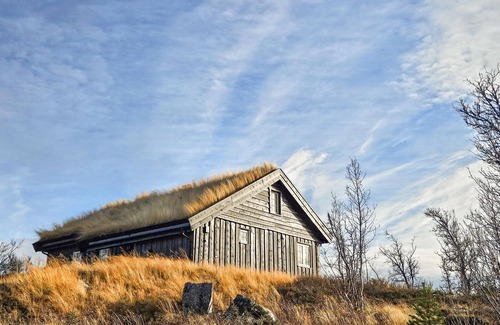 Gol Municipality House | Stunning home in Torpo with WiFi