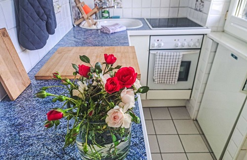 Traunkirchen Villa | Stunning private villa for 10 guests with TV, terrace and pets allowed