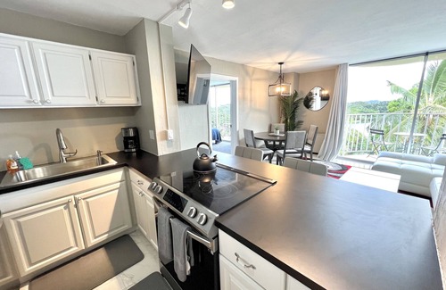 Hilo Condo | Stunning Views Best Locale Hilo 2BRCondo