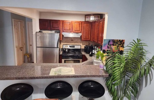 Prospect Lefferts Gardens Apartment | Stylish and cozy apartment near good city transportation