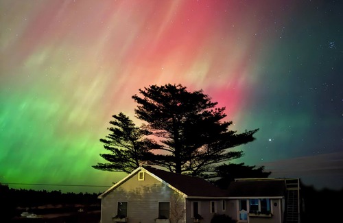 Birch Harbor Cottage | Stylish ocean-view home on Acadia's Schoodic Loop