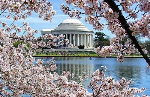 Ballston Apartment | Stylish1BR, Arlington,FREEPark,Pool, Gym Wifi,