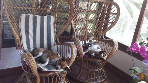 Fluminimaggiore Bed & Breakfast | Su Trabi B&B