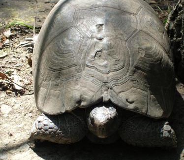 Fluminimaggiore Bed & Breakfast | Su Trabi B&B