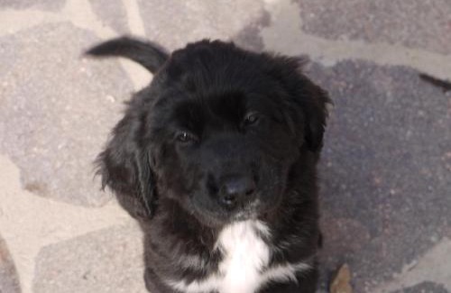 Fluminimaggiore Bed & Breakfast | Su Trabi B&B