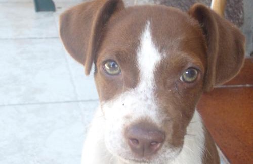 Fluminimaggiore Bed & Breakfast | Su Trabi B&B