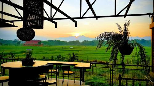 Phrae House | SuanGlangNa