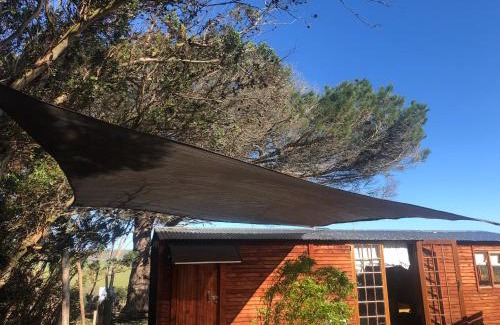 Baardskeerdersbos Other | Suikerbekkie Bos