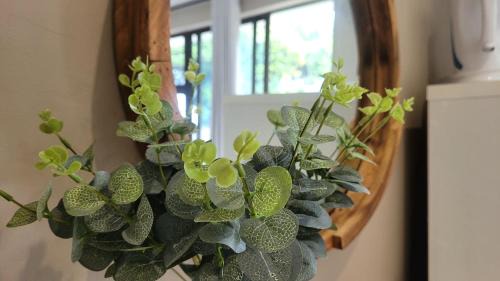 Beacon Bay Apartment | Suite 10- Deja' Blu Bed and Breakfast- East London