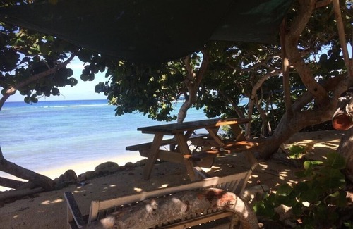 West Bay Apartment | Suite 4 Beach Shuttle Concierge Garden Cats