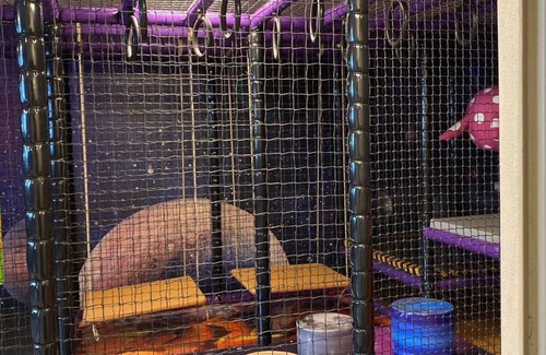 Achenkirch Apartment | Suite, Dusche und Bad, WC, Terrasse - S'acherl