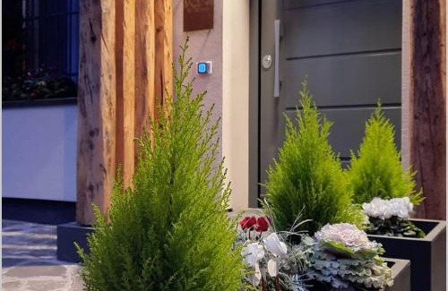 Molinella Apartment | Suite moderna a due passi dal centro