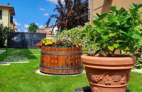 Molinella Apartment | Suite moderna a due passi dal centro